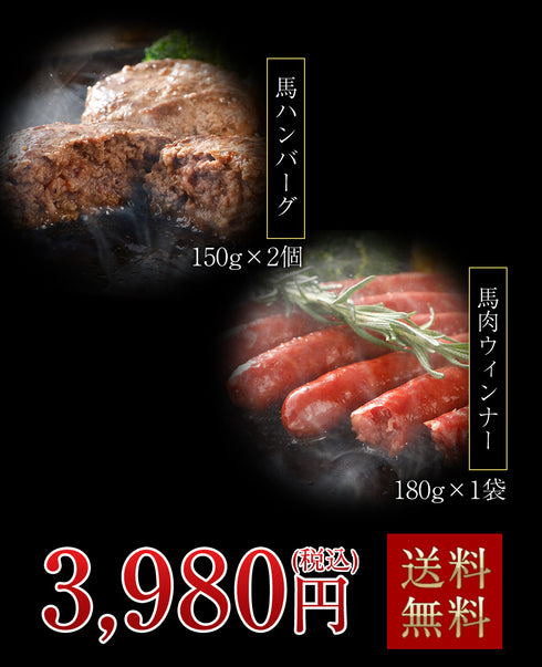 馬刺し 国産 熊本 ギフト 国産馬肉 2種詰め合わせセット 手作り馬ハンバーグ 馬肉ウィンナー 詰め合わせセット 480g 贈答 化粧箱小付き 馬肉 贈答 馬刺 純馬刺し ばさし 刺し 産直 国内 通販 名産 お土産 おつまみ 有名 イベント 喜ばれる ヘルシー
